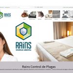 diseño pagina web asturias